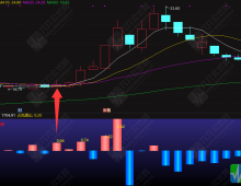 通达信仿【开盘啦竞价净额】竞价精品副图指标，股买卖成交金额的差值需，L2数据支持