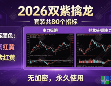 新版【2026双紫擒龙】紫紫红黄/主力吸筹/抓龙头/跟主力等等全套共80个无加密无限制指标