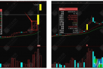 通达信【光脚双阳】量化模型副选指标 创业板20cm涨停板的高频捕捉策略