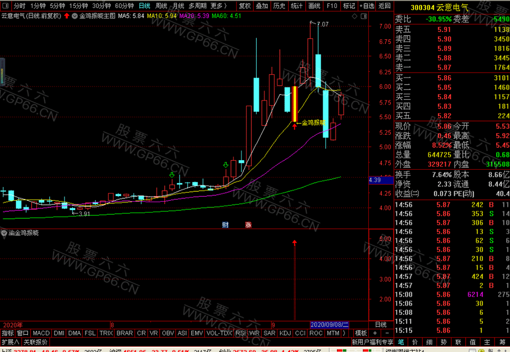 金鸡报晓整套无加密指标（主图 副图 选股 盘中预警）