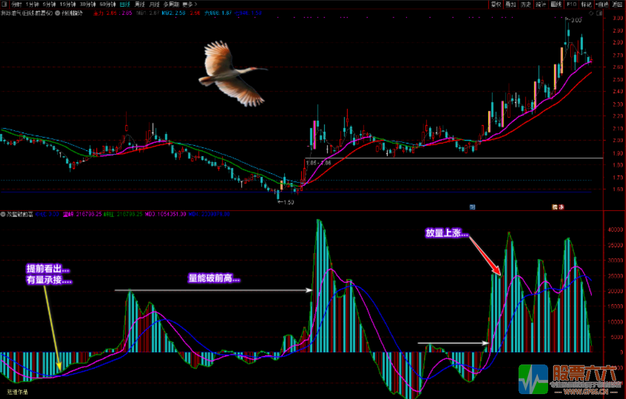 廷进《改量破前高》又一成交量技术性指标（指标 副图 贴图 源码 不加密 ）