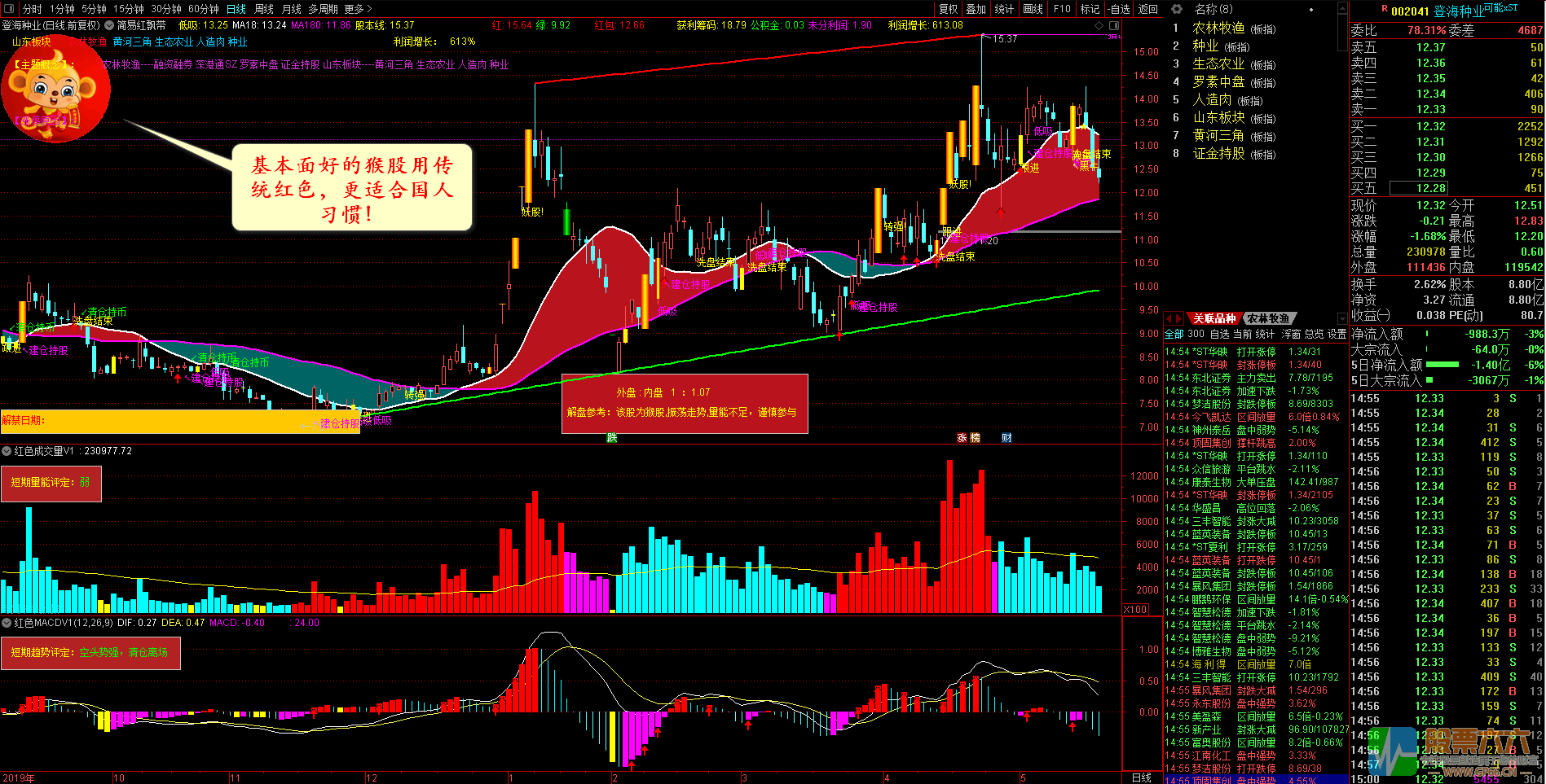 红色三不要指标2020年5月升级版