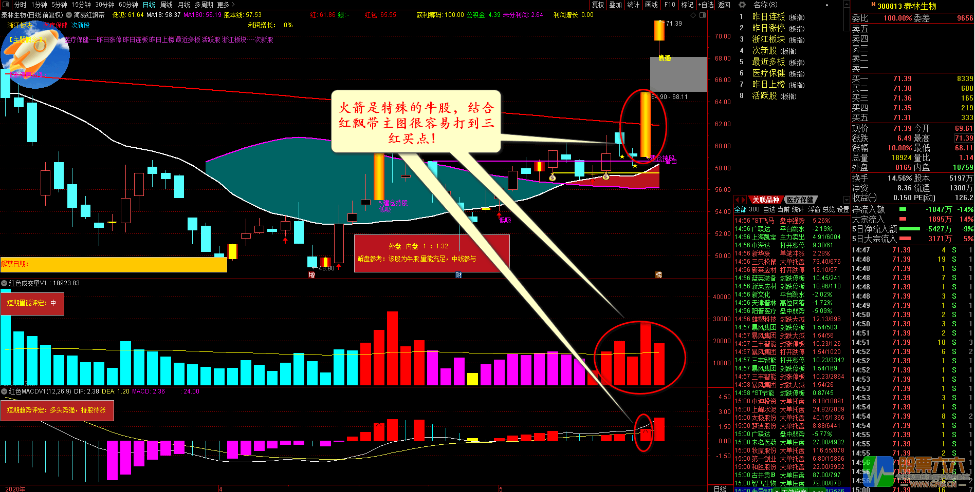 红色三不要指标2020年5月升级版