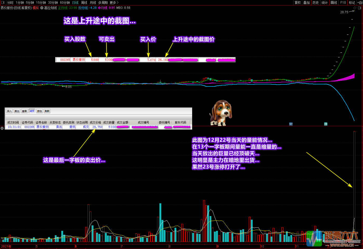 《潜龙伏虎》+《凤表龙姿》主副图及选股 找底、抓牛、提升盘感 