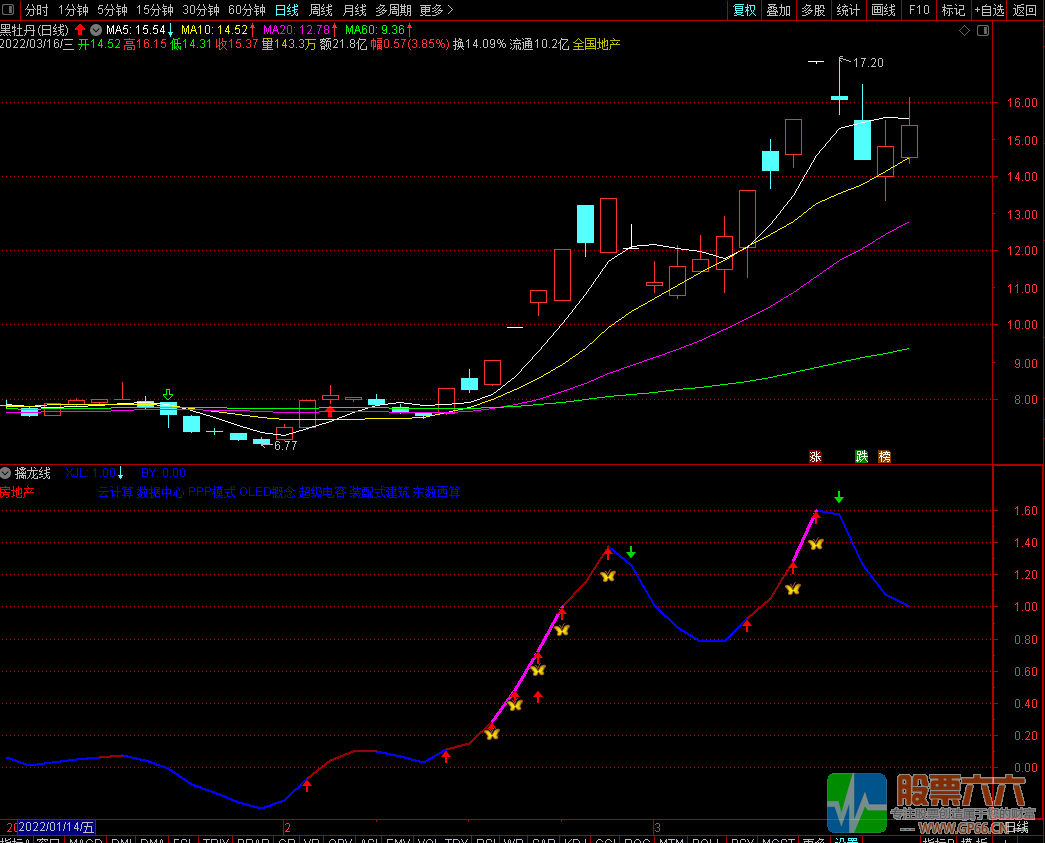 【擒龙线】金钻精华指标 抓北方国际、黑牡丹等大牛股