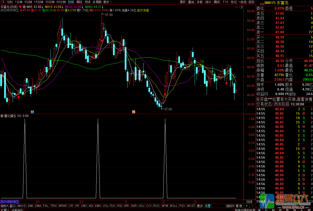 量化擒龙通达信副图/可用于选股预警 无加密