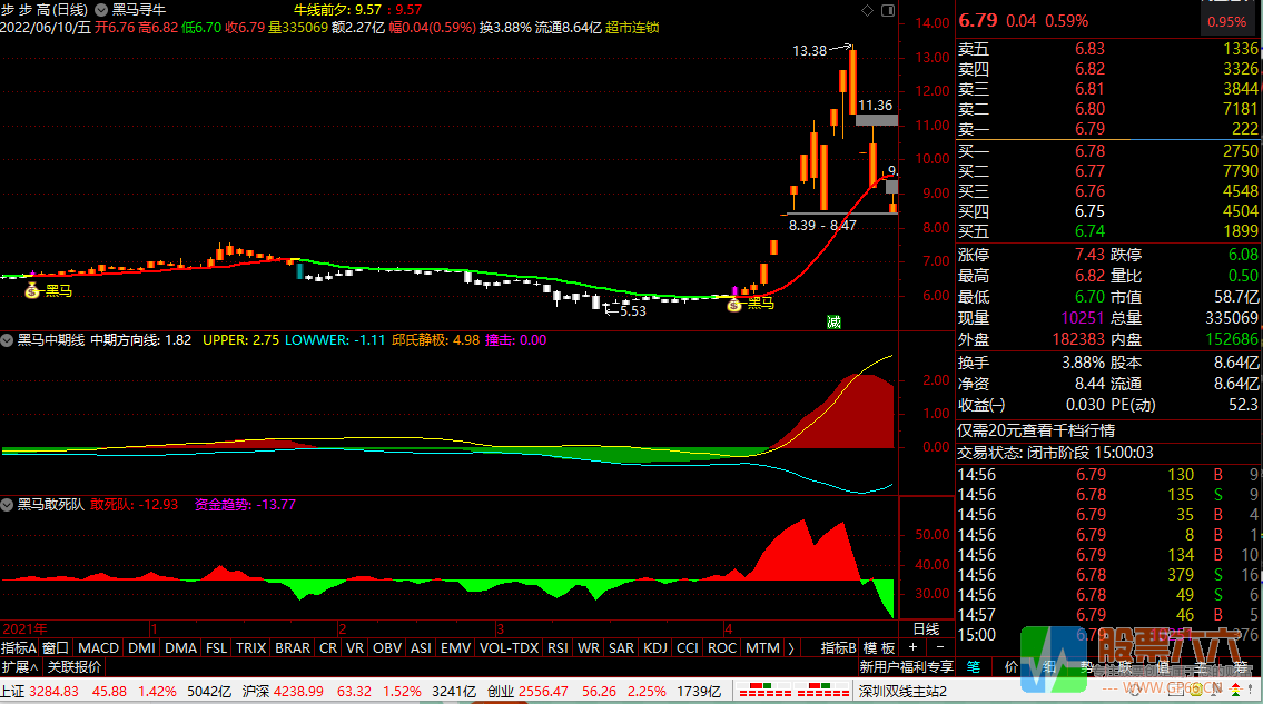【黑马寻牛】全套指标源码+视频教程 