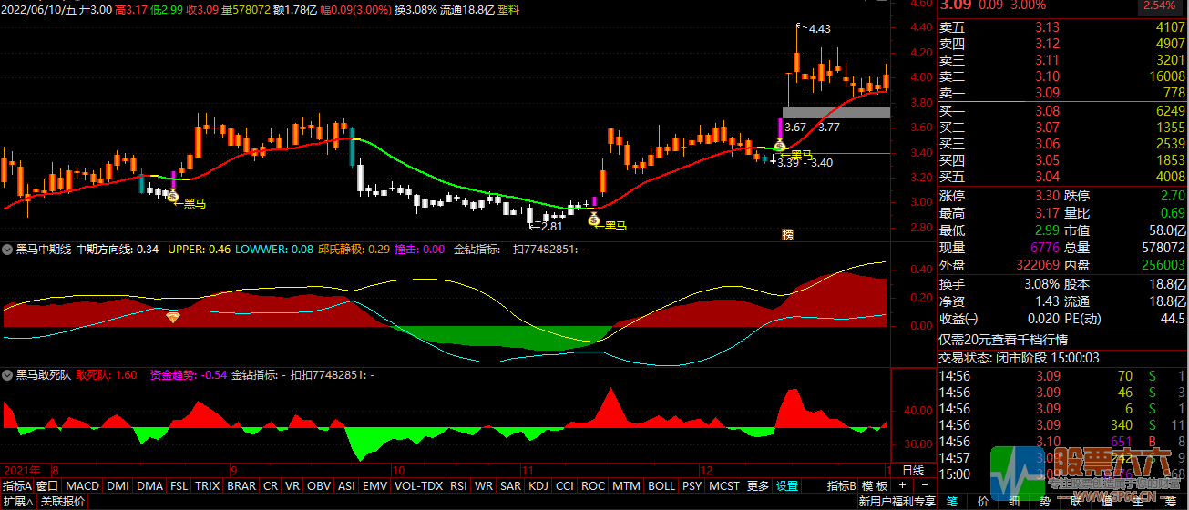 【黑马寻牛】全套指标源码+视频教程