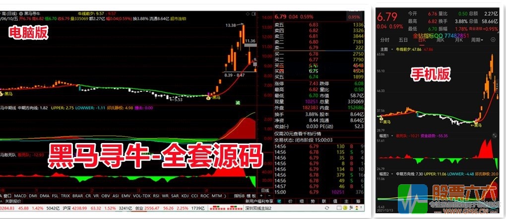 【黑马寻牛】全套指标源码+视频教程 