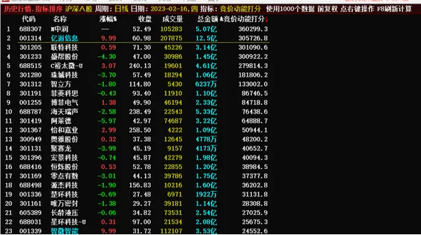 竞价动能打分排序 根据竞价量能进行排序的指标 用于早盘