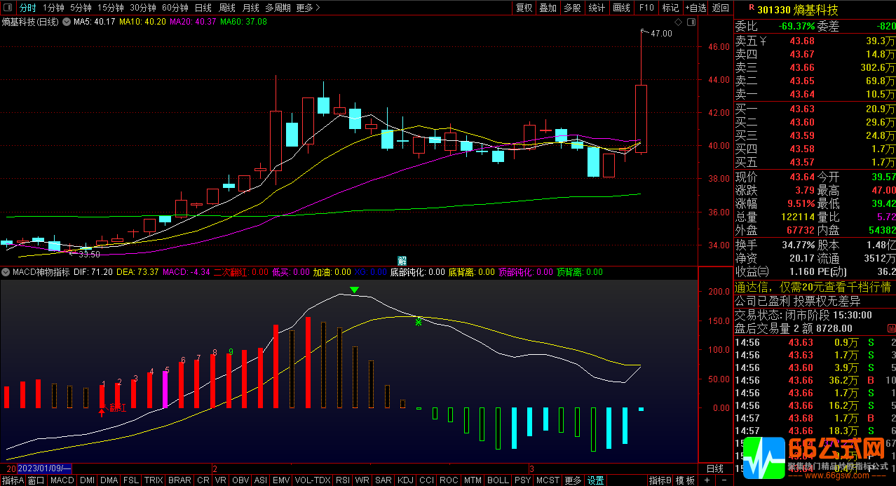 MACD神物通达信副图指标 九转精准提示