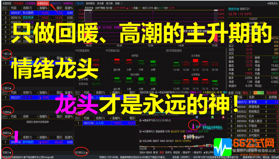 第五版【情绪龙战法系统】软件+无加密指标