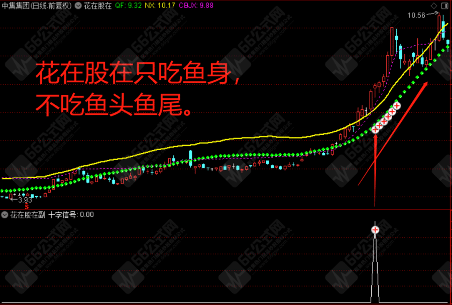 【花在股在】主副图选股指标  选择强势股的有效指标 无未来函数，不漂移