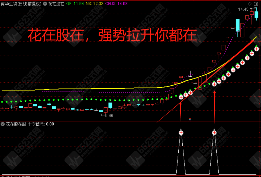 【花在股在】主副图选股指标  选择强势股的有效指标 无未来函数，不漂移