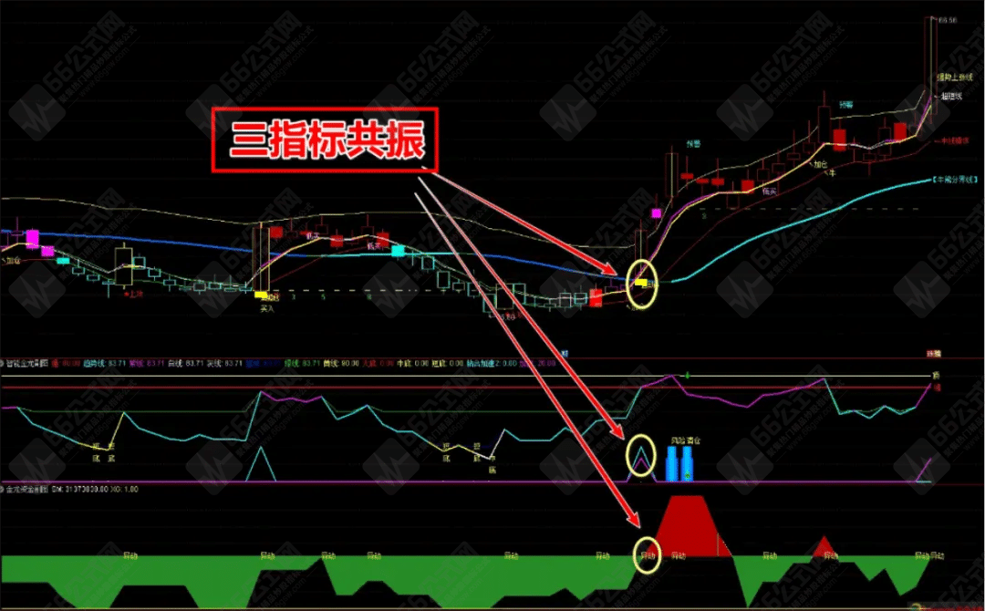 【智能金龙系统套装】 主副/选 极品指标 主龙头沉浮 三信号共振 无加密分享