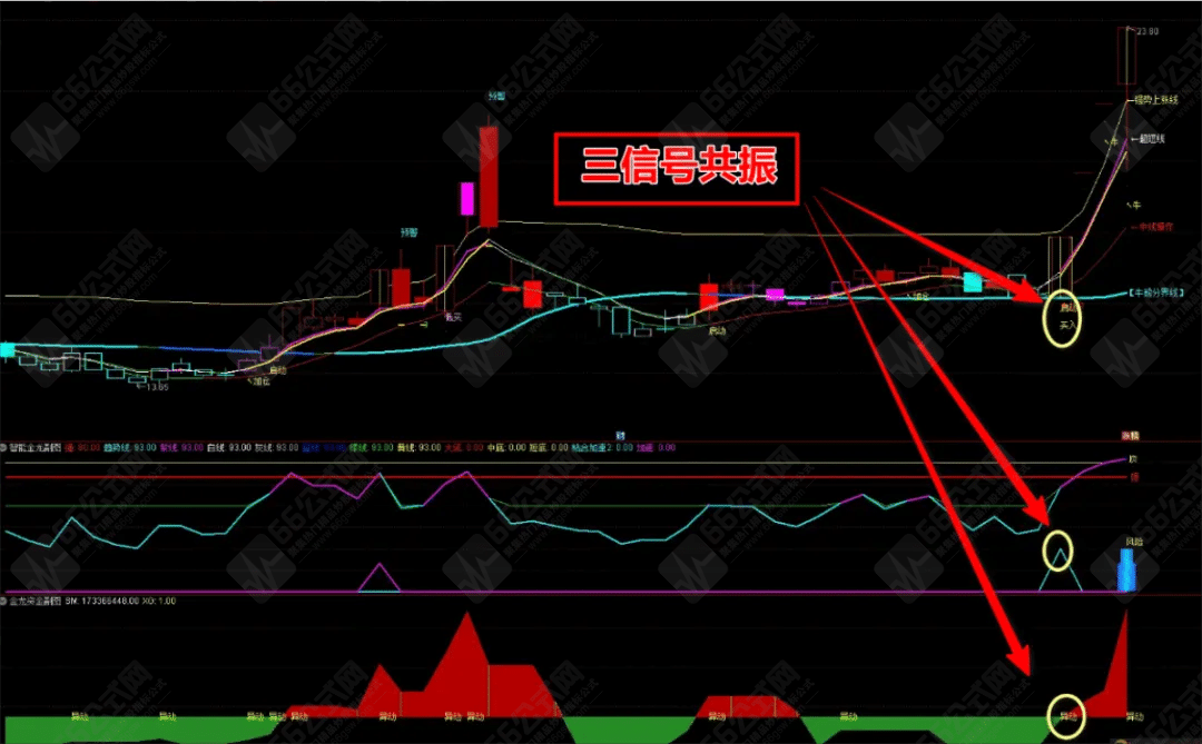 【智能金龙系统套装】 主副/选 极品指标 主龙头沉浮 三信号共振 无加密分享